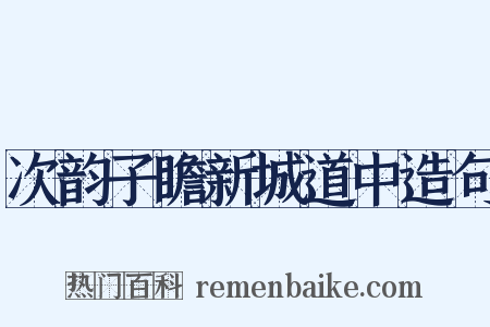 次韵子瞻新城道中造句是什么意思的图片